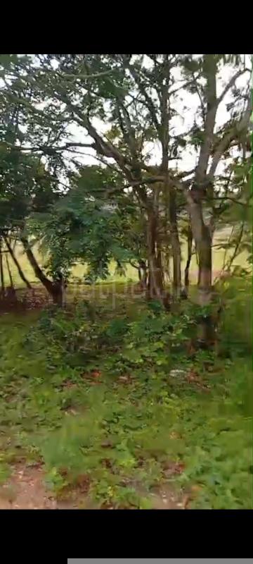 Residential Land for Sale in Kirindiwela ads-image-1