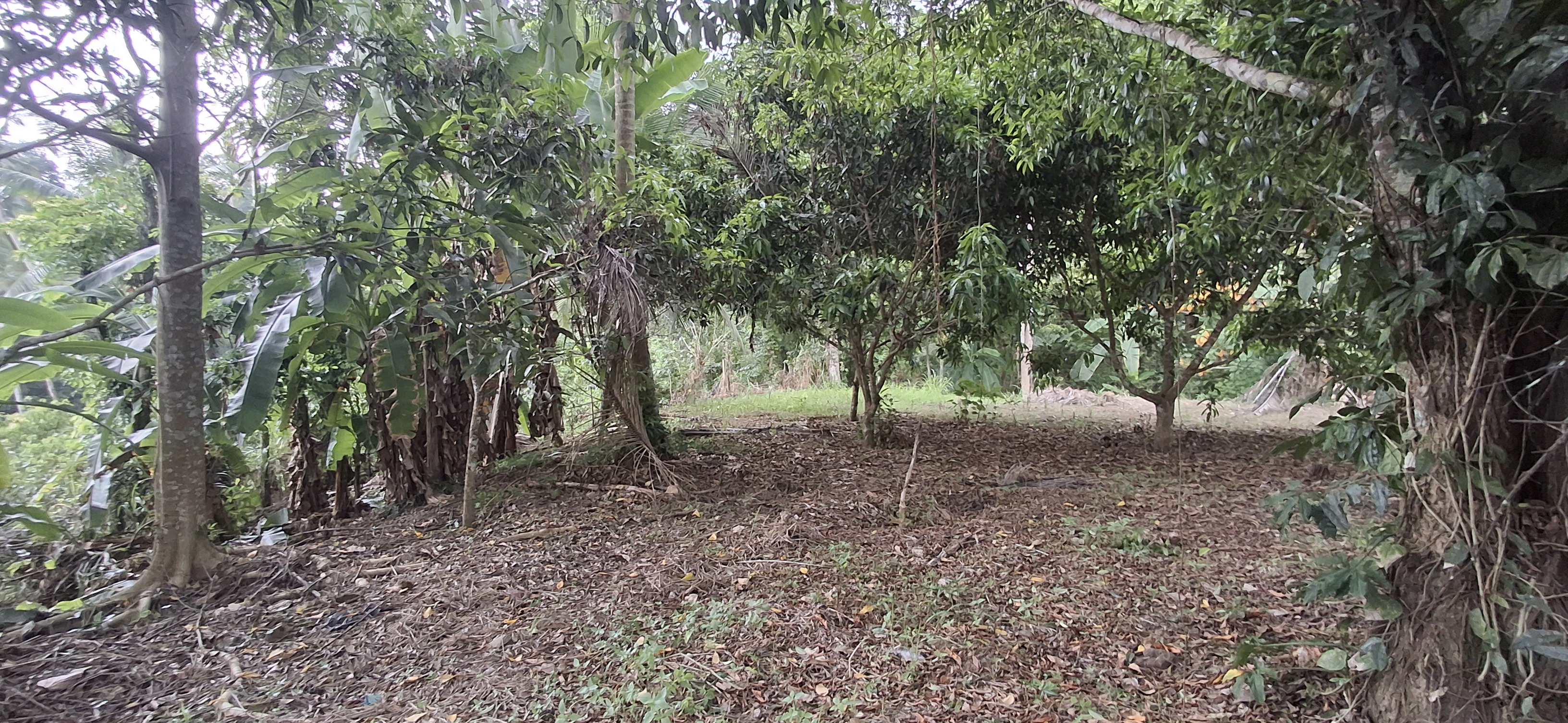 Residential Land for Sale in Yatiyana ads-image-1