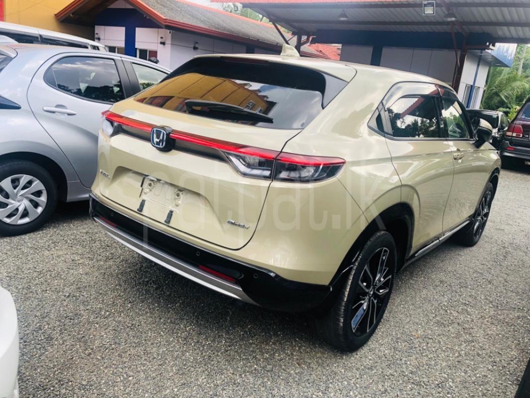 Advertisement image 4