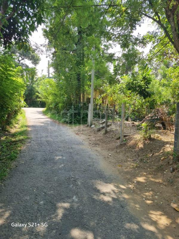 Residential Land for Sale in Kundasale ads-image-1