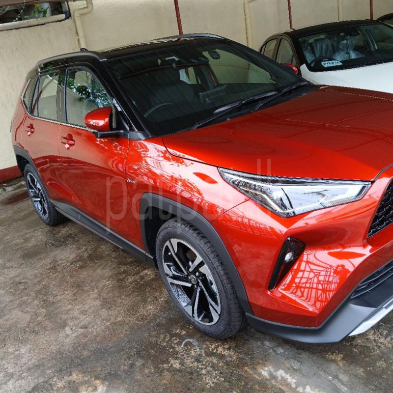 Advertisement image 2