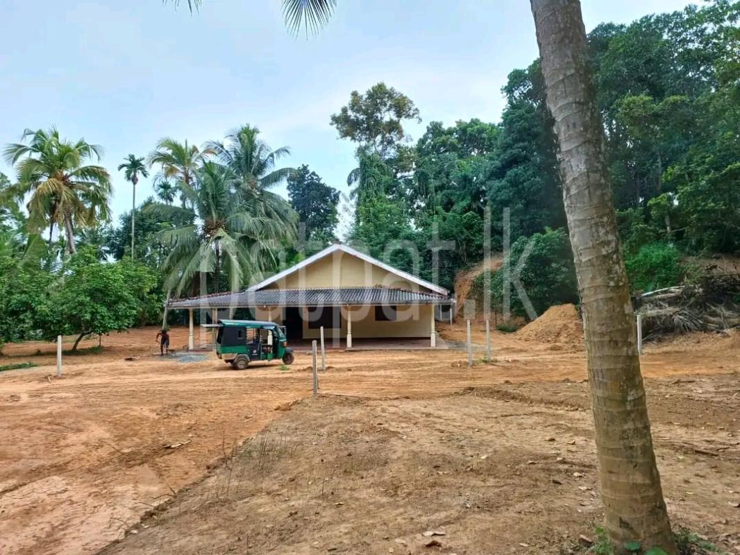 Residential Land for Sale in Ridigama