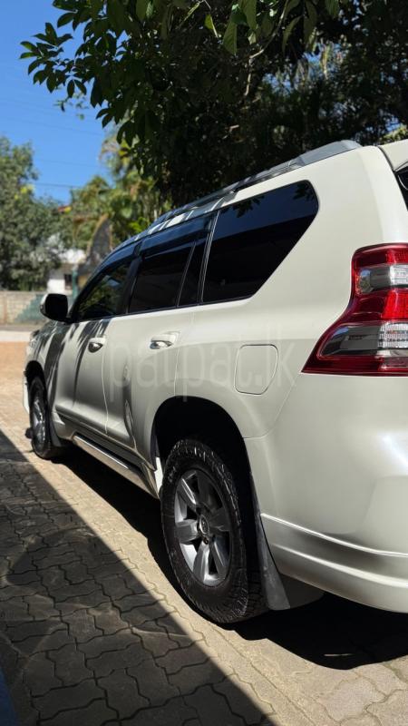 Advertisement image 2