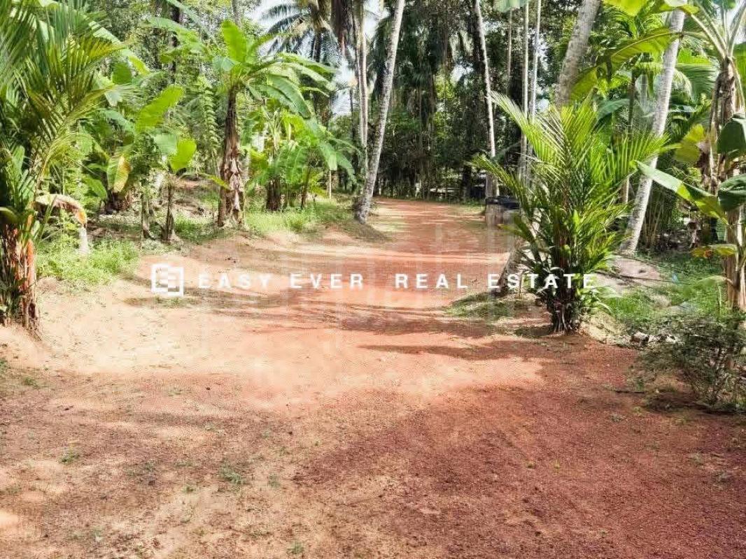 Residential Land for Sale in Kirindiwela