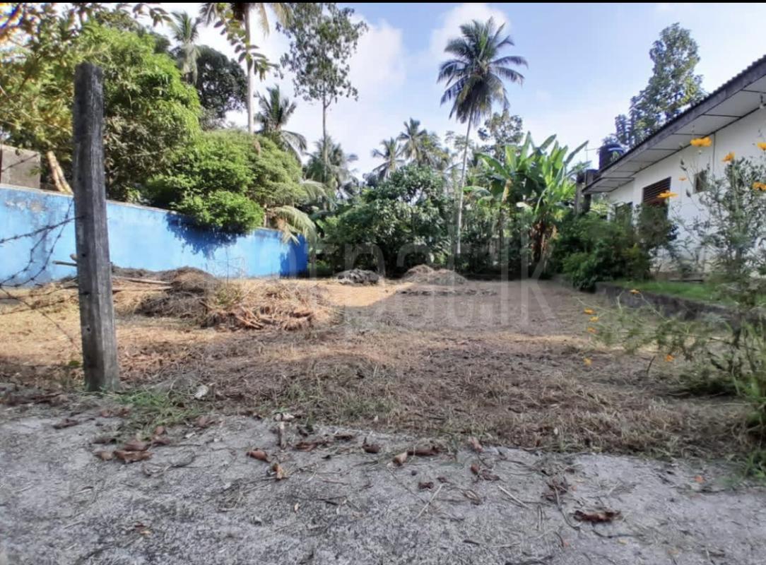 Commercial Land for Sale in Kundasale