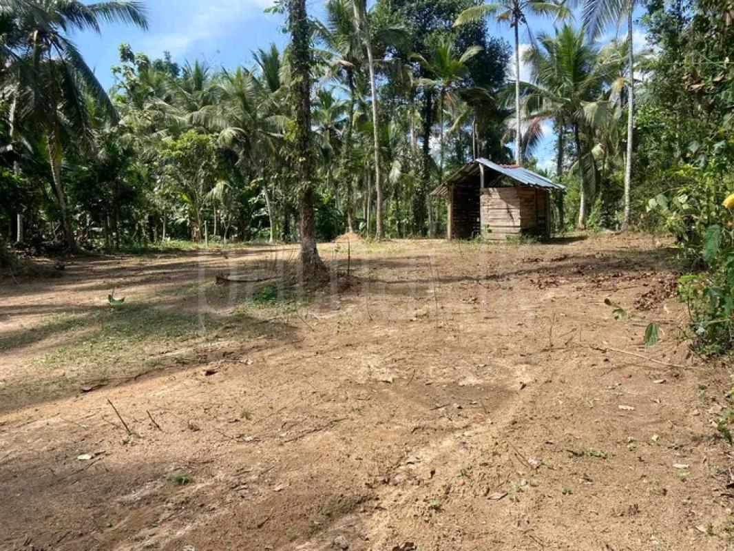 Commercial Land for Sale in Veyangoda