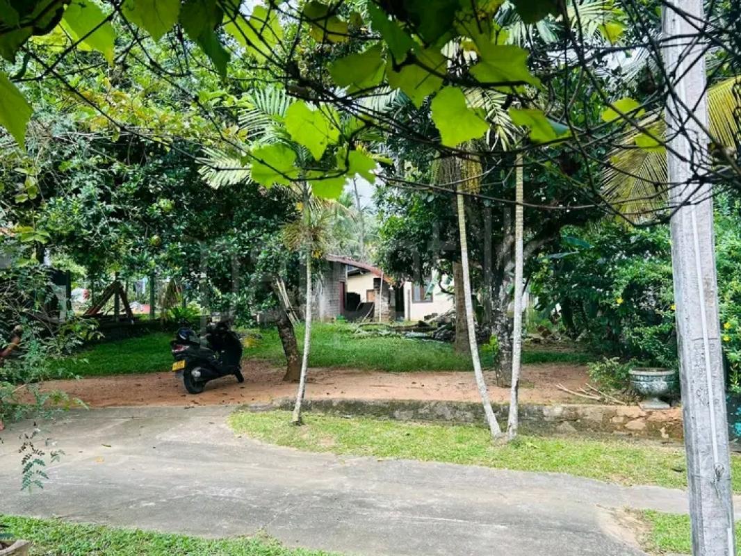 Advertisement image 1