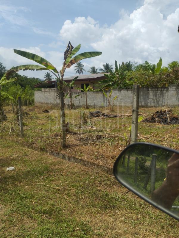 Commercial Land for Sale in Rambukkana ads-image-1