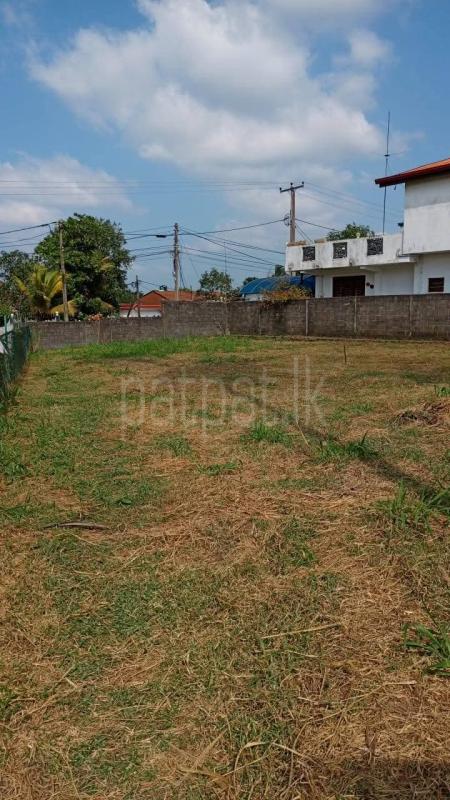 Residential Land for Sale in Ja-Ela ads-image-1
