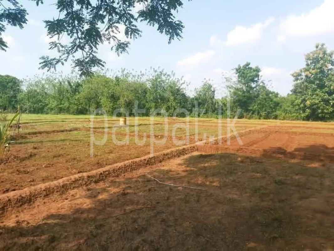 Residential Land for Sale in Sella Kataragama