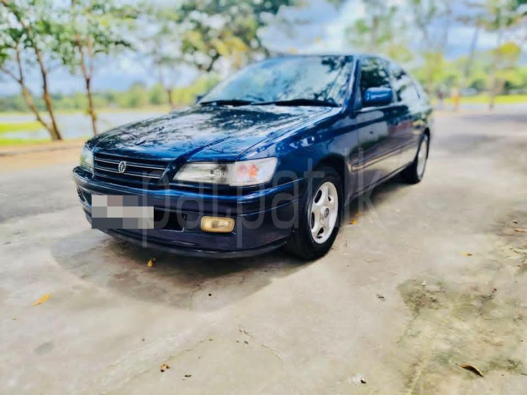 Advertisement image 1