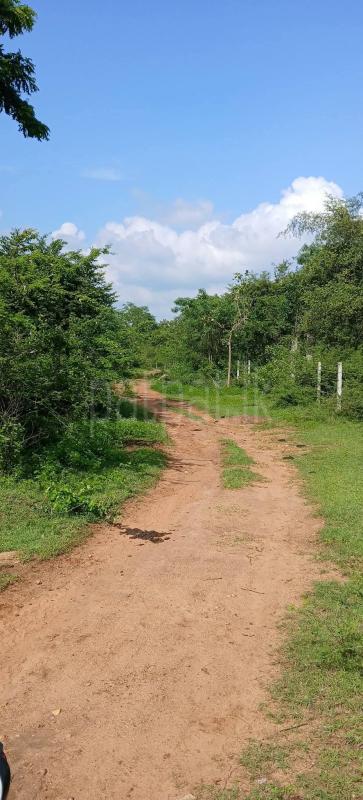 Residential Land for Sale in Kataragama
