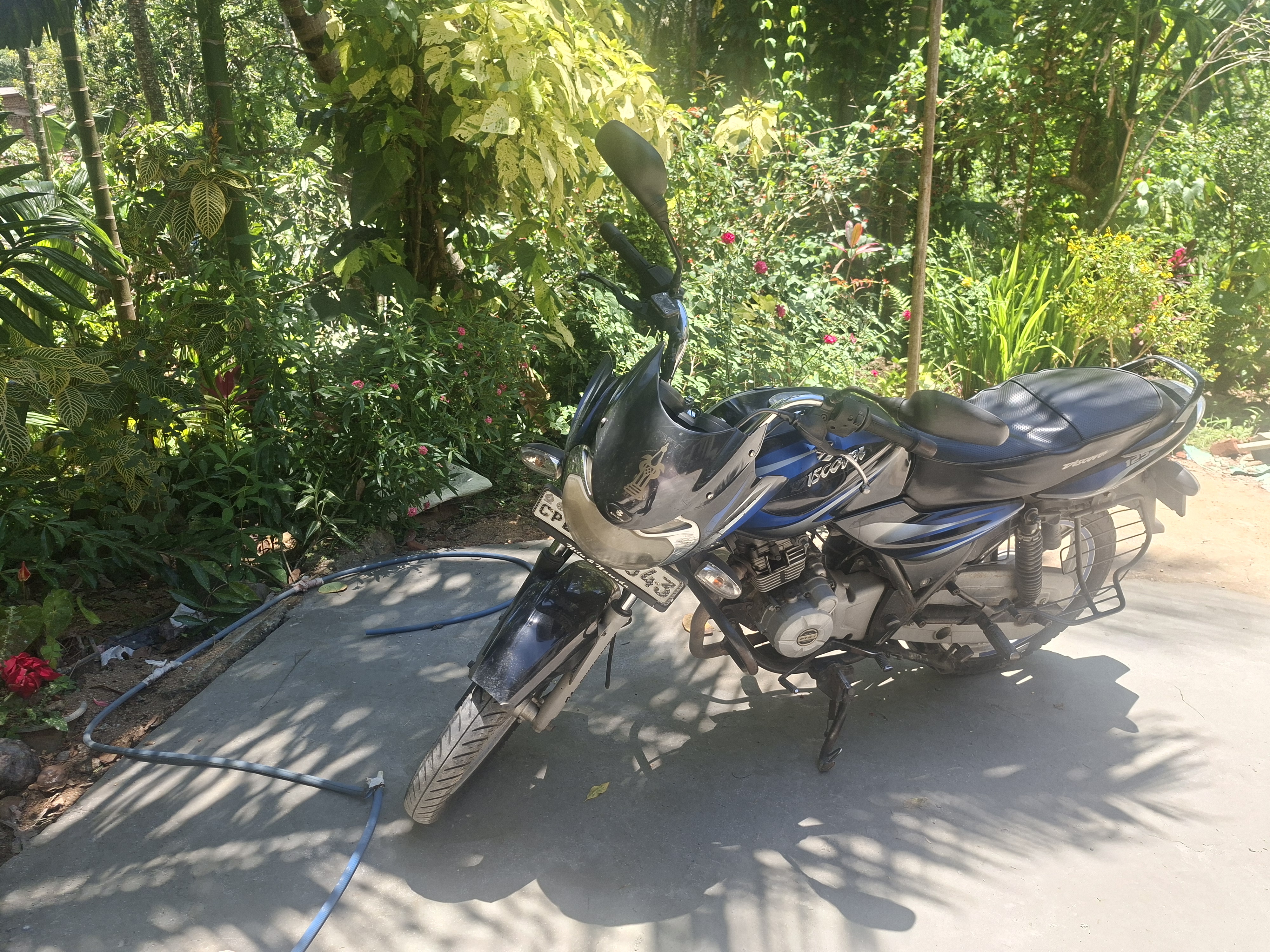 Bajaj Discover 2016 - Used Bike sale in Sri Lanka - patpat.lk