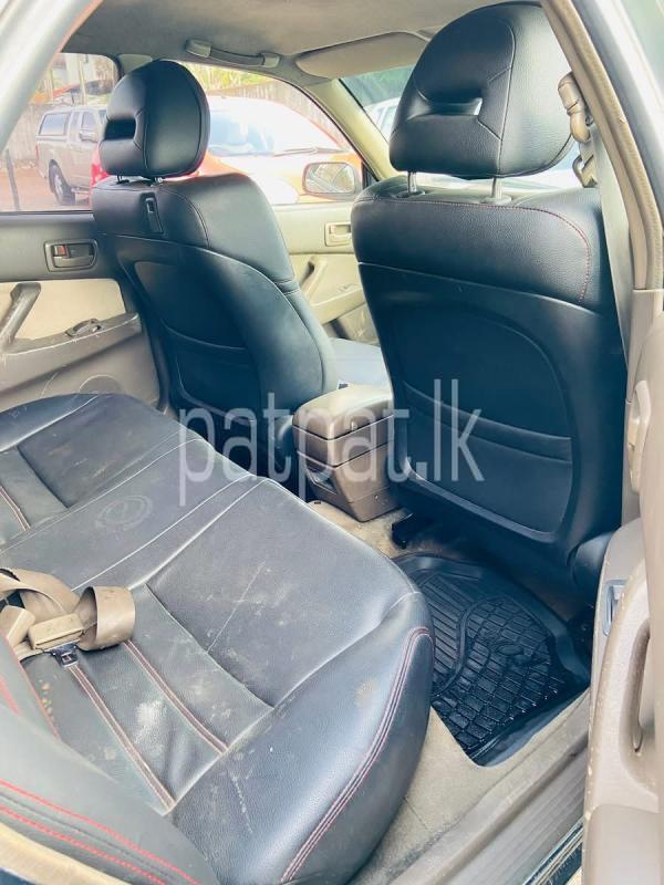 Advertisement image 6