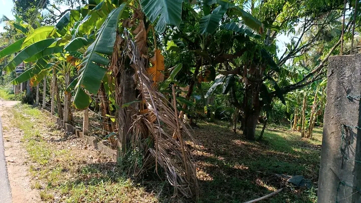 Commercial Land for Sale in Mawathagama ads-image-1