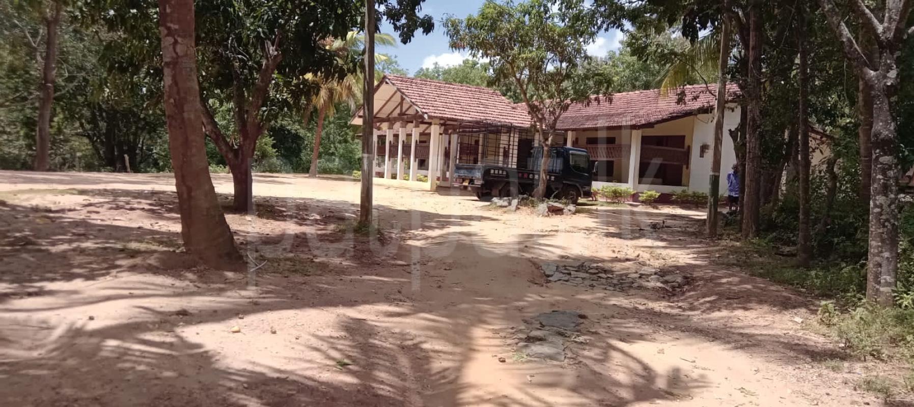 Building for Rent in Sella Kataragama
