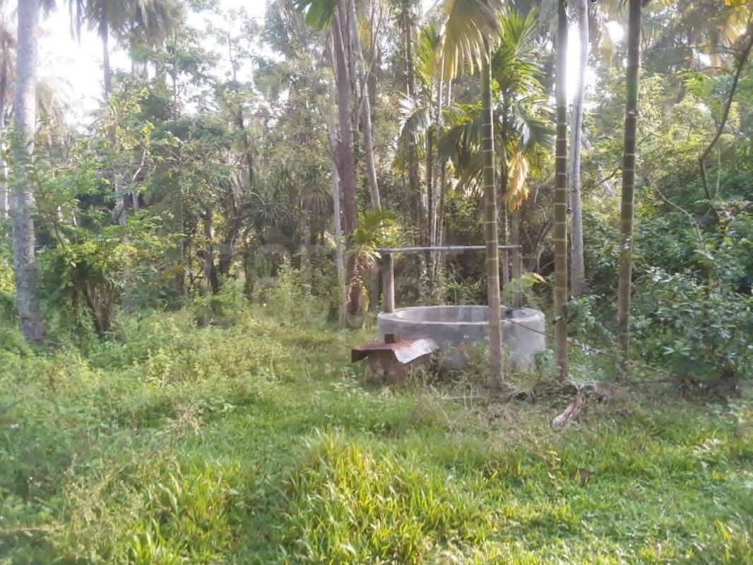 Agricultural Land for Sale in Matale