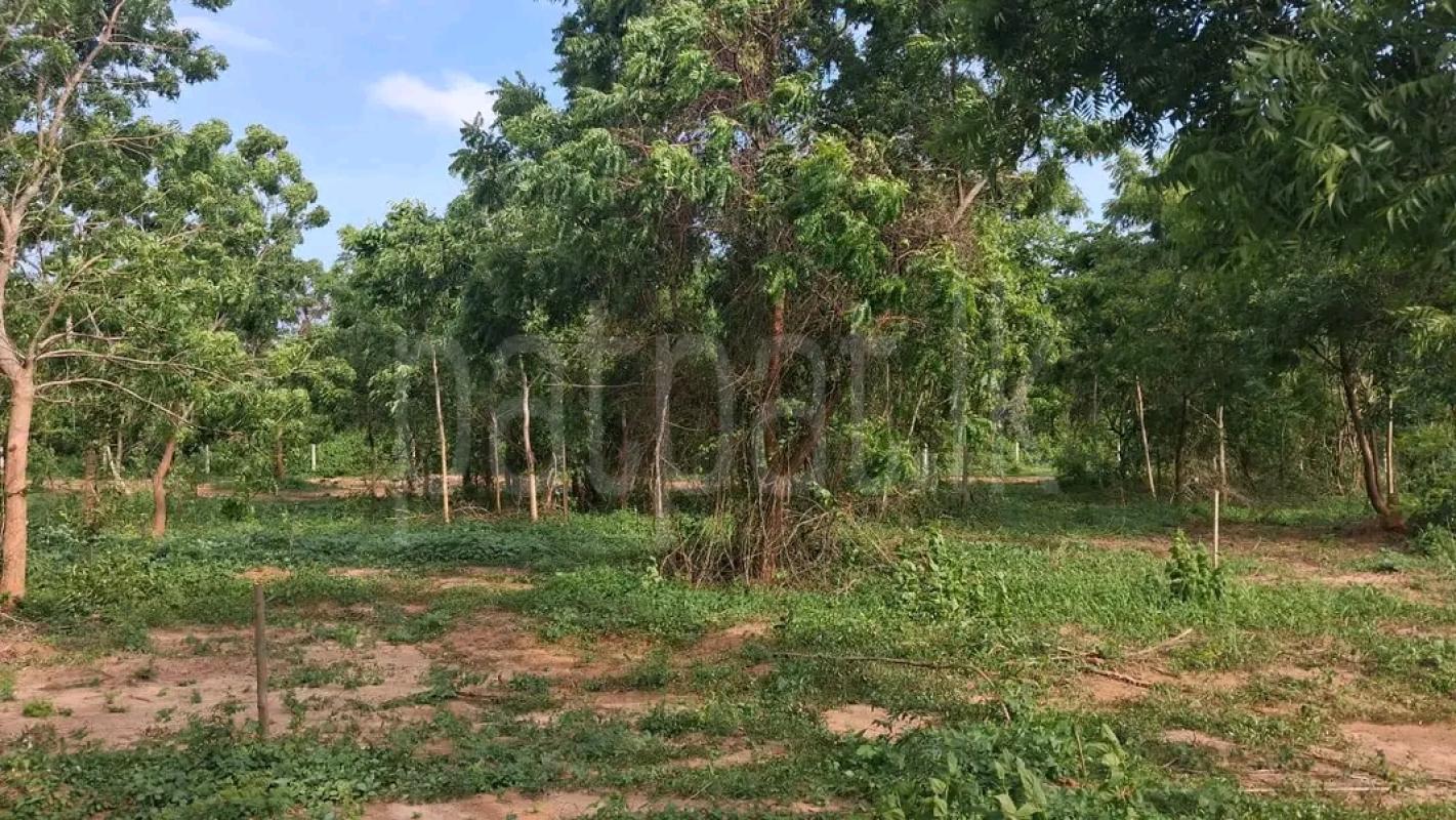 Agricultural Land for Sale in Maggona