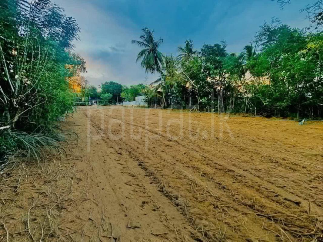 Residential Land for Sale in Hungama ads-image-1