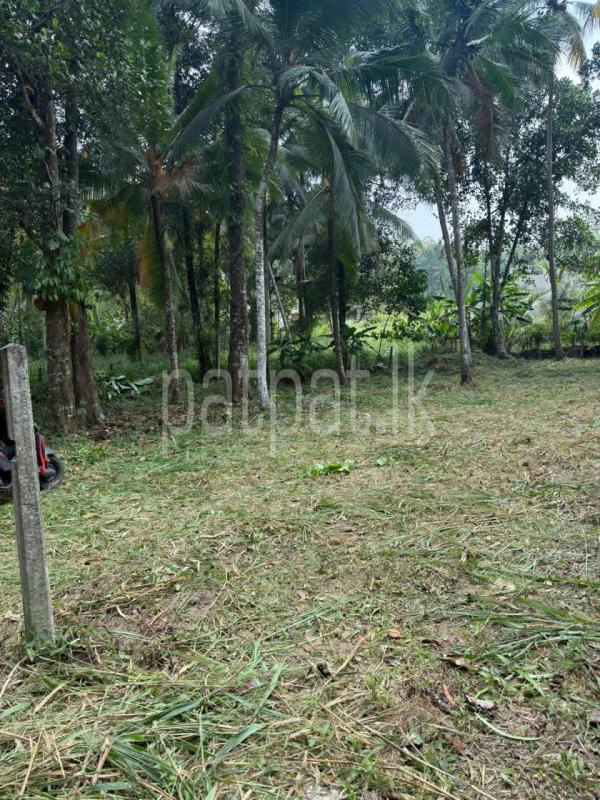 Residential Land for Sale in Yakkala