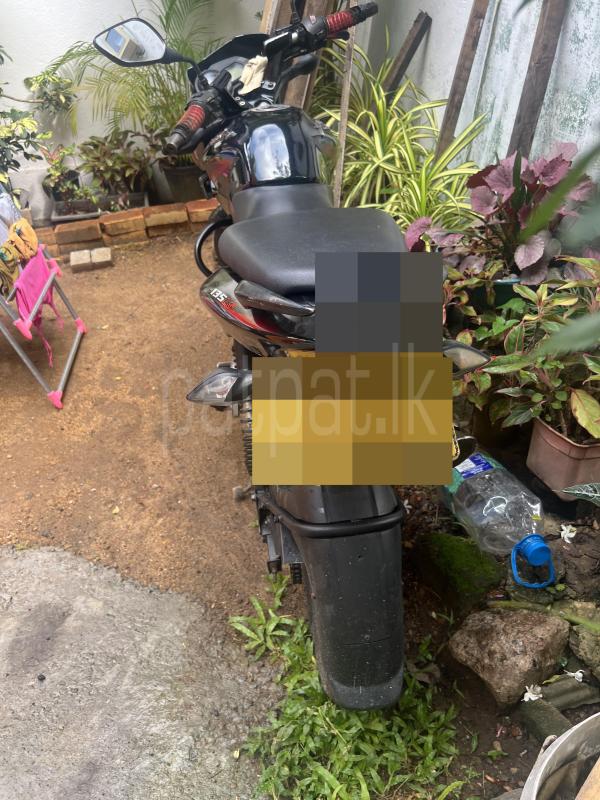 Bajaj Pulsar 2015 - Used Bike sale in Sri Lanka - patpat.lk