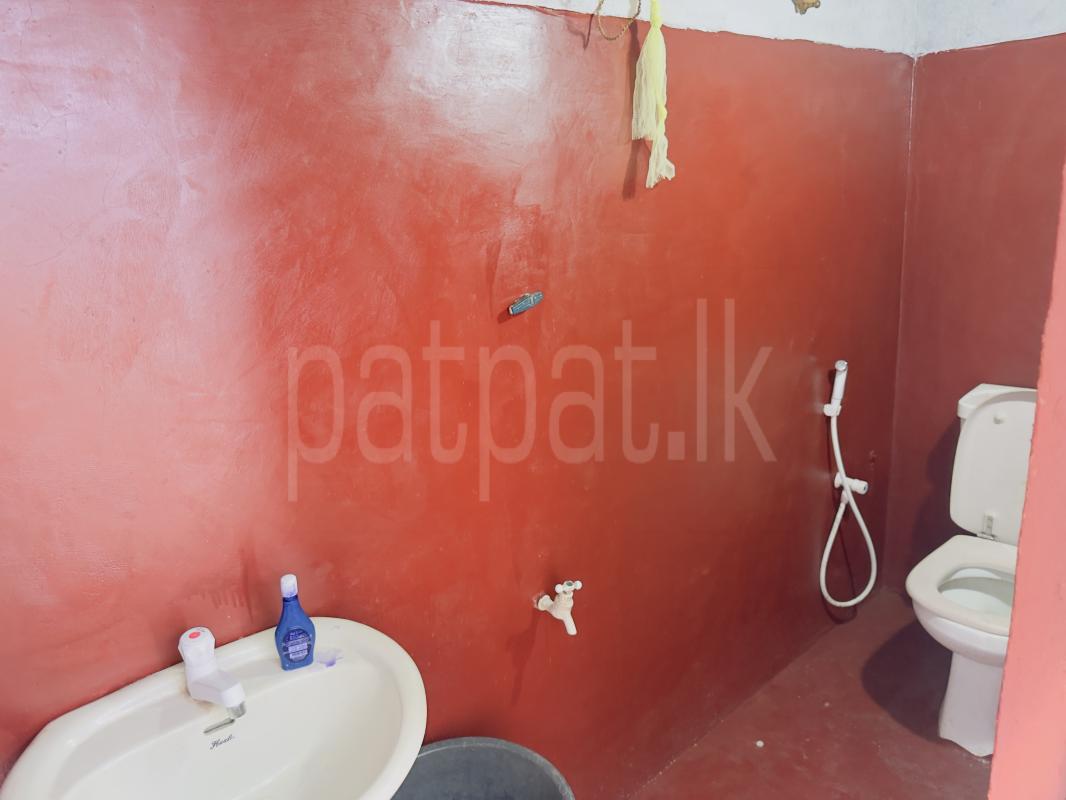 premium-listing-image