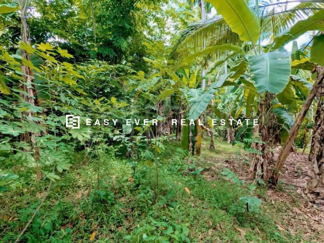 Residential Land for Sale in Nittambuwa