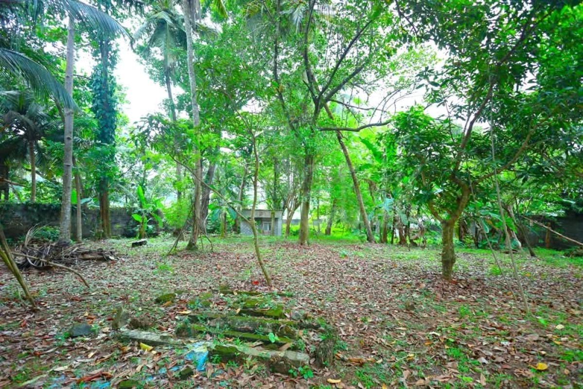 Commercial Land for Sale in Panadura ads-image-1