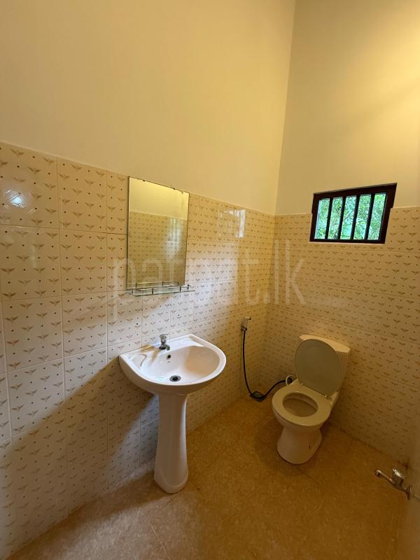 Advertisement image 12