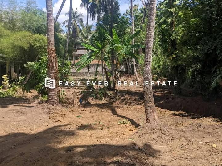 Commercial Land for Sale in Mirigama