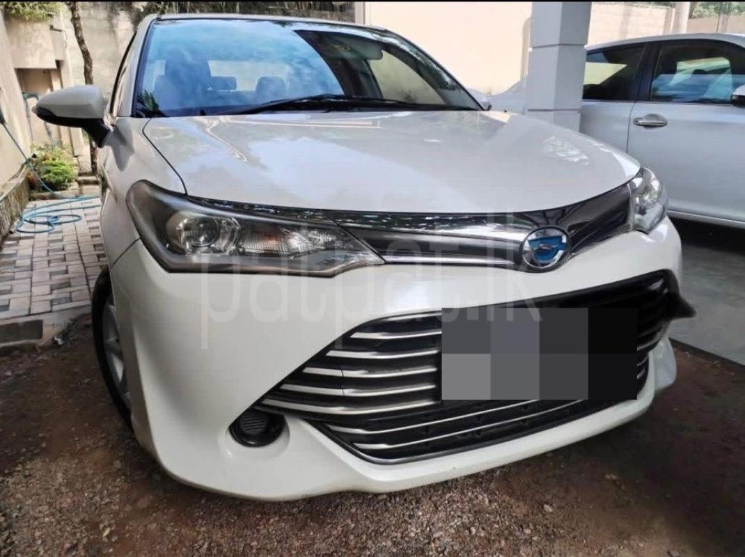 Advertisement image 1