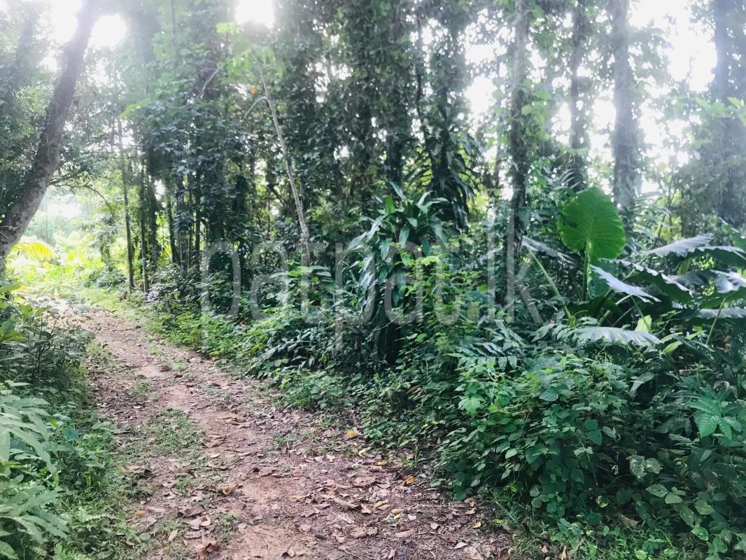 premium-listing-image