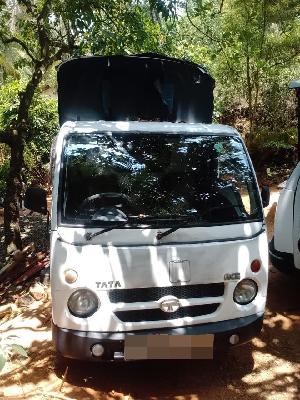 Tata Ace 2010 ads-image-1