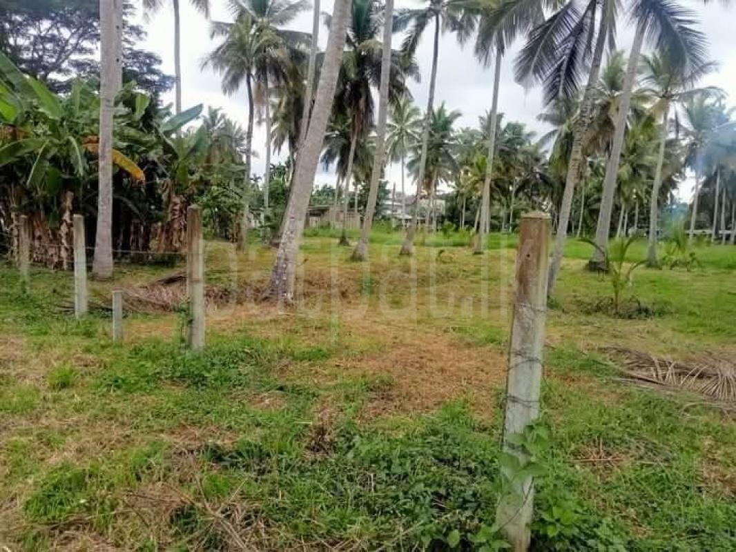 Residential Land for Sale in Kurunegala ads-image-1