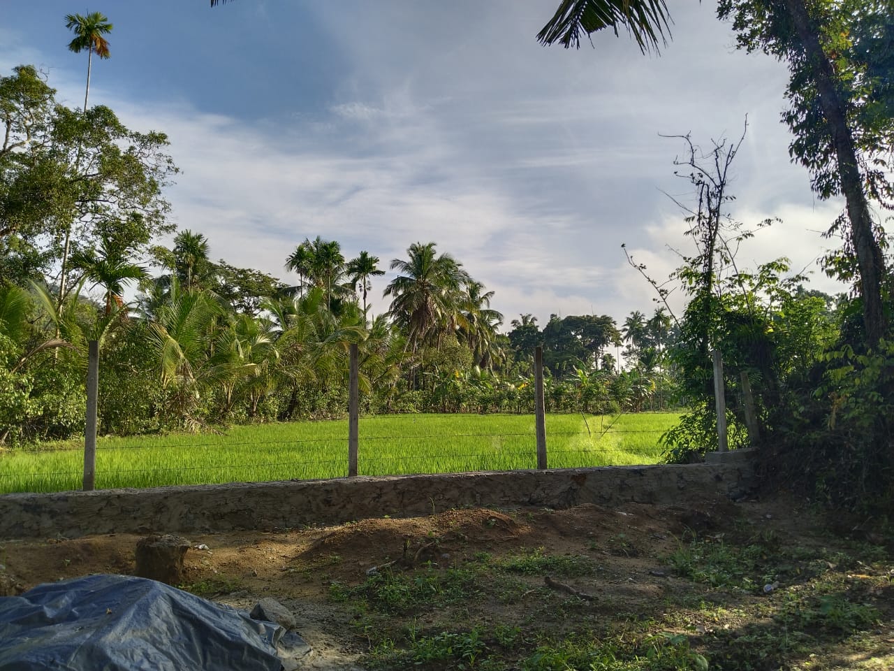 Residential Land for Sale in Horana ads-image-1