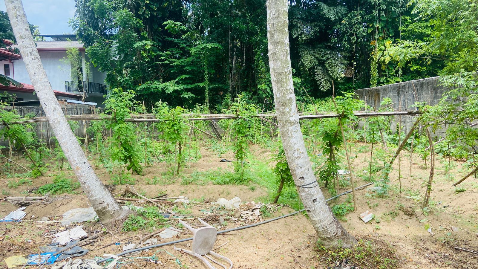 Residential Land for Sale in Bandaragama