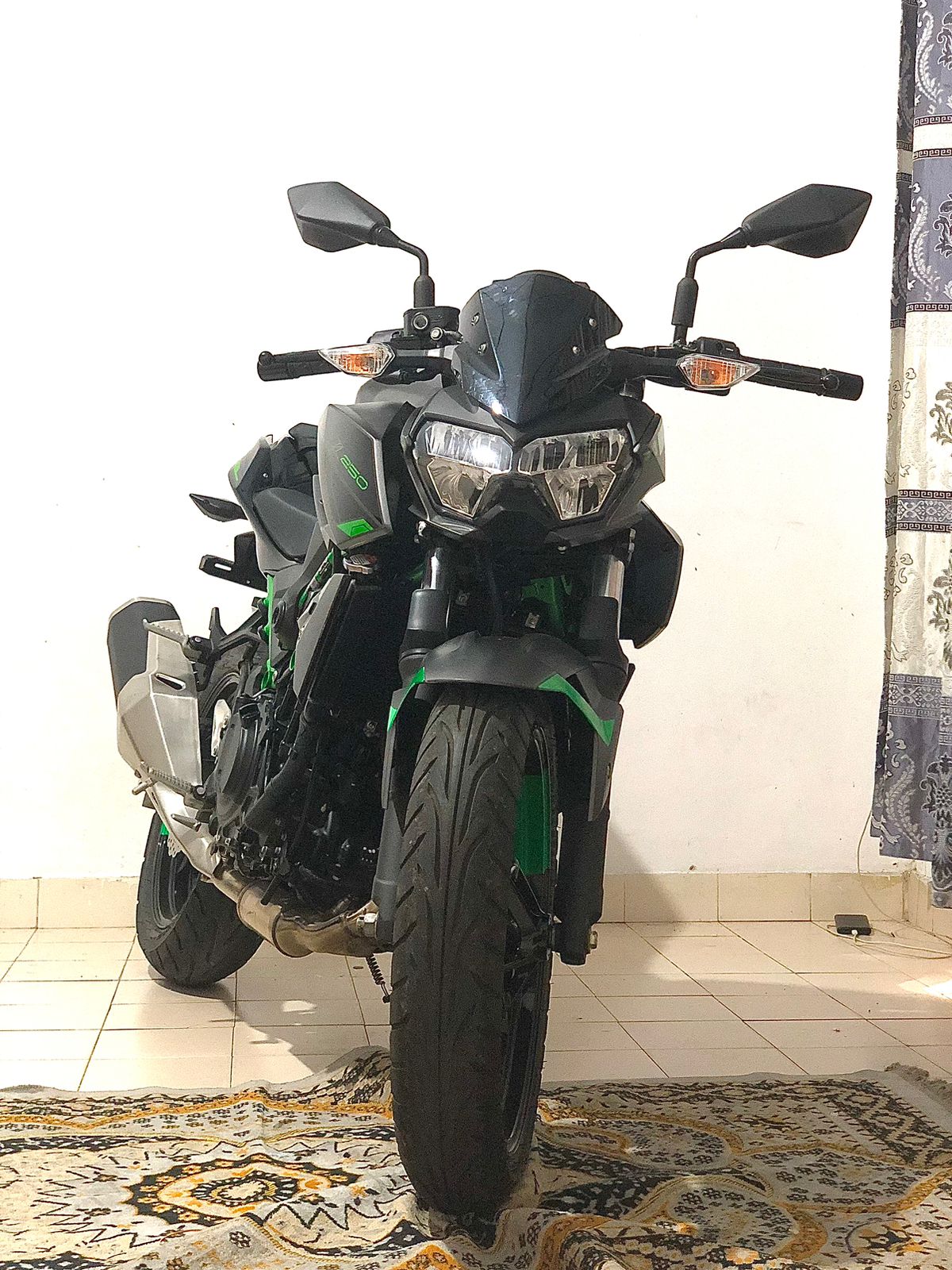 Kawasaki Z250 2025 ads-image-1