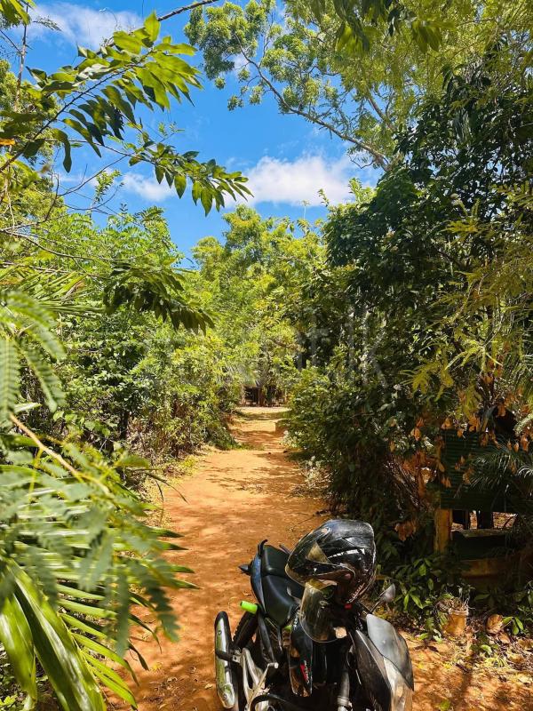 Residential Land for Sale in Kataragama
