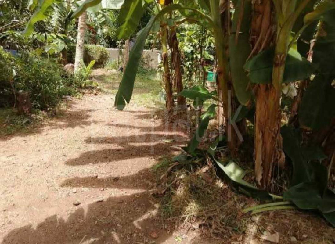 Commercial Land for Sale in Athurugiriya