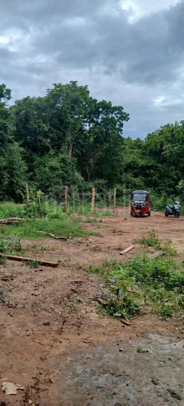 Residential Land for Sale in Kataragama