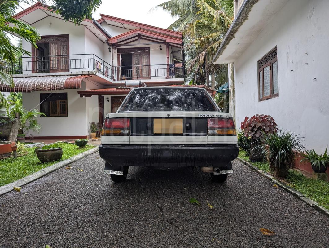 Toyota Corolla 1984 - பயன்படுத்தப்பட்டது கார் sale in Sri Lanka - patpat.lk