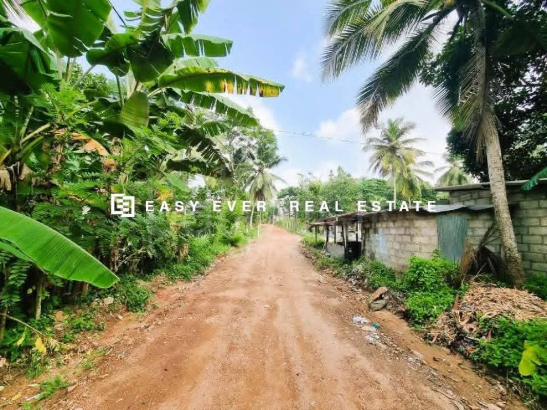 Residential Land for Sale in Divulapitiya
