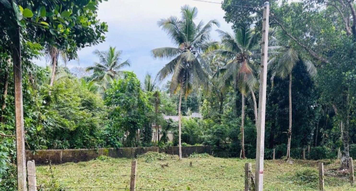 Commercial Land for Sale in Panadura