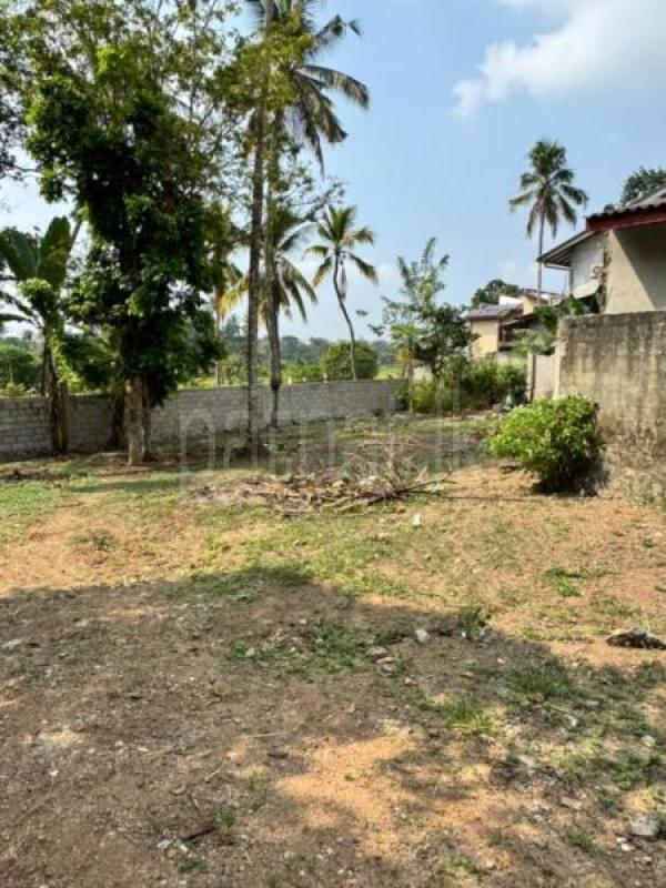 Agricultural Land for Sale in Piliyandala