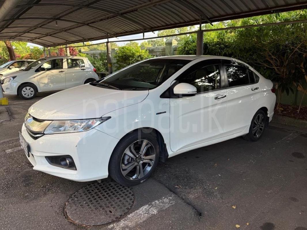 Advertisement image 4