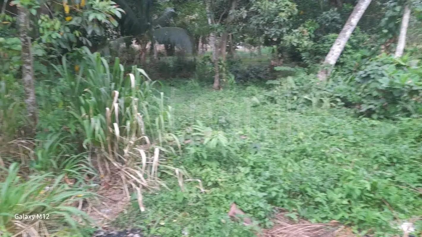 Agricultural Land for Sale in Ja-Ela