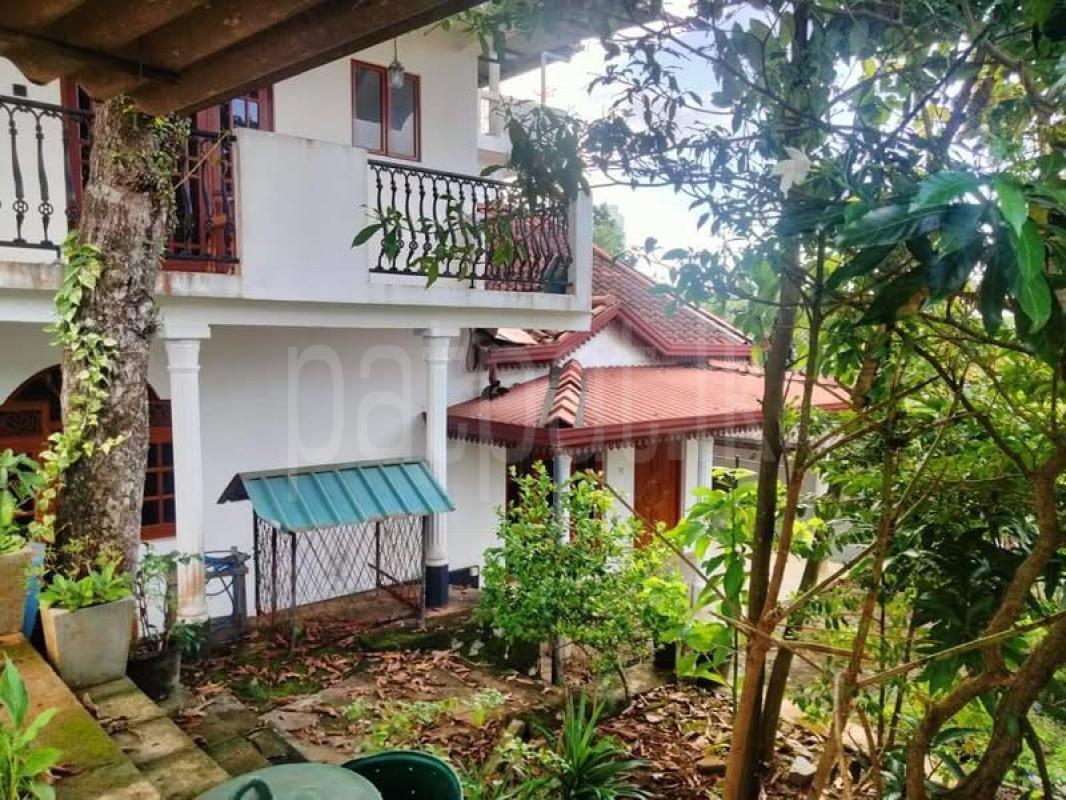 premium-listing-image