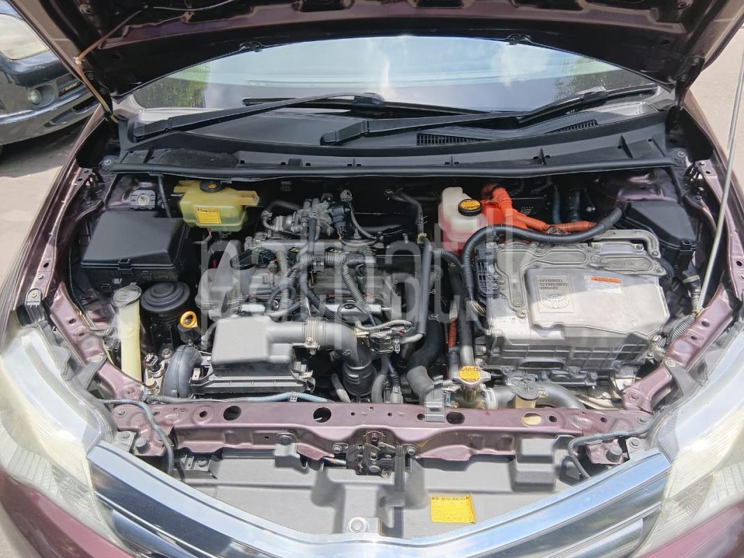 Advertisement image 6