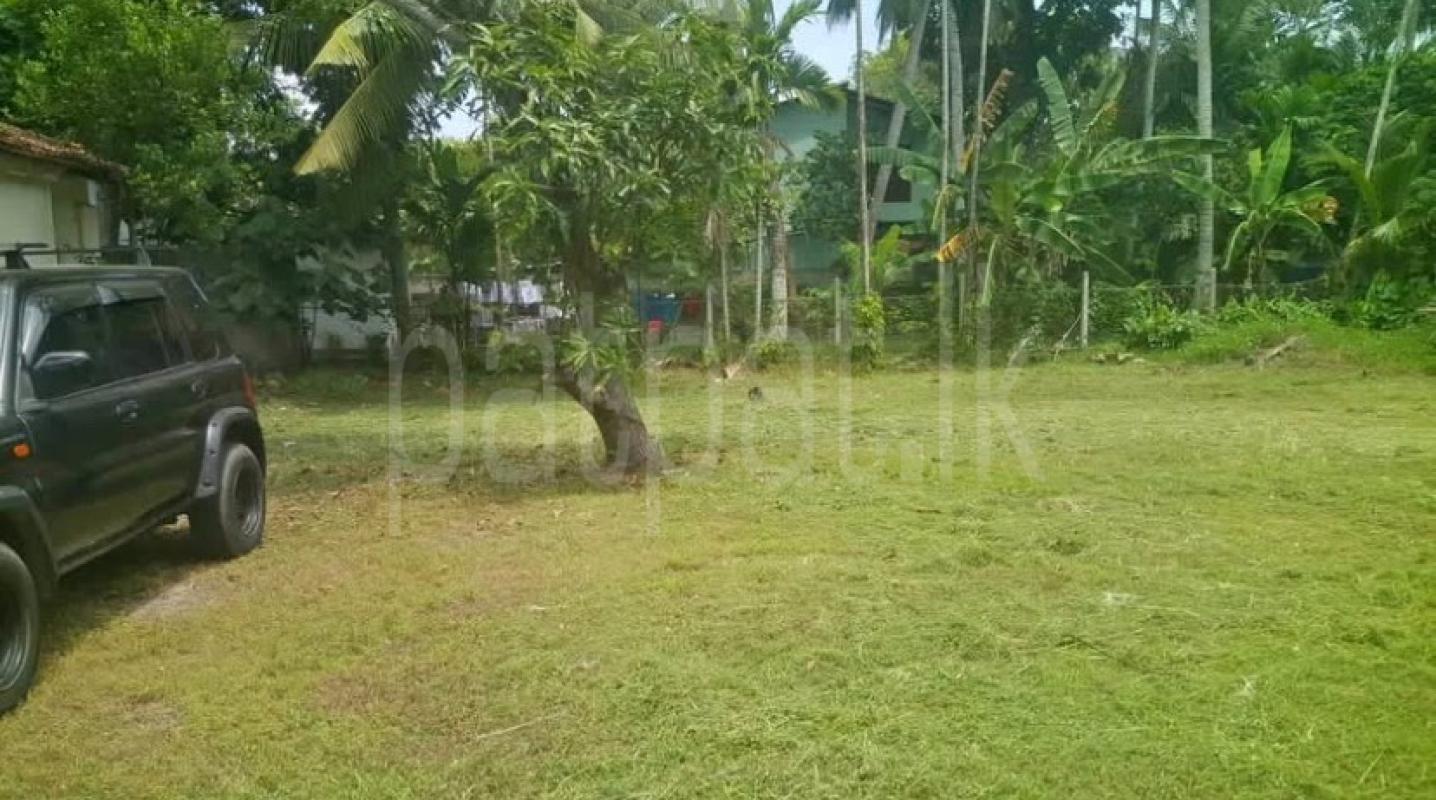 Residential Land for Sale in Ja-Ela ads-image-1