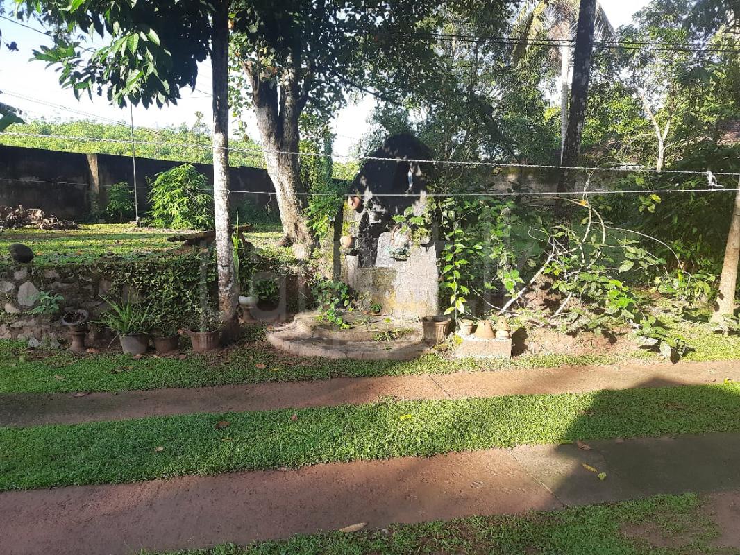 House for Sale in Negombo ads-image-1